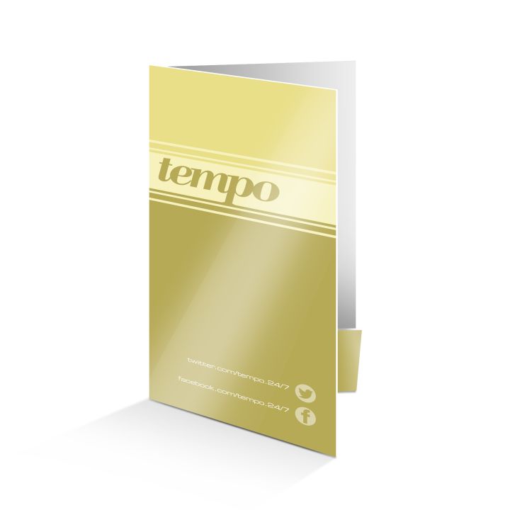DL Matt Laminated Folder (450gsm) Double Sided Print