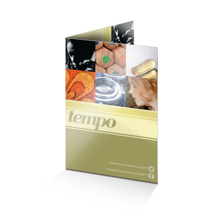 Folded Leaflets - Silk (250gsm)