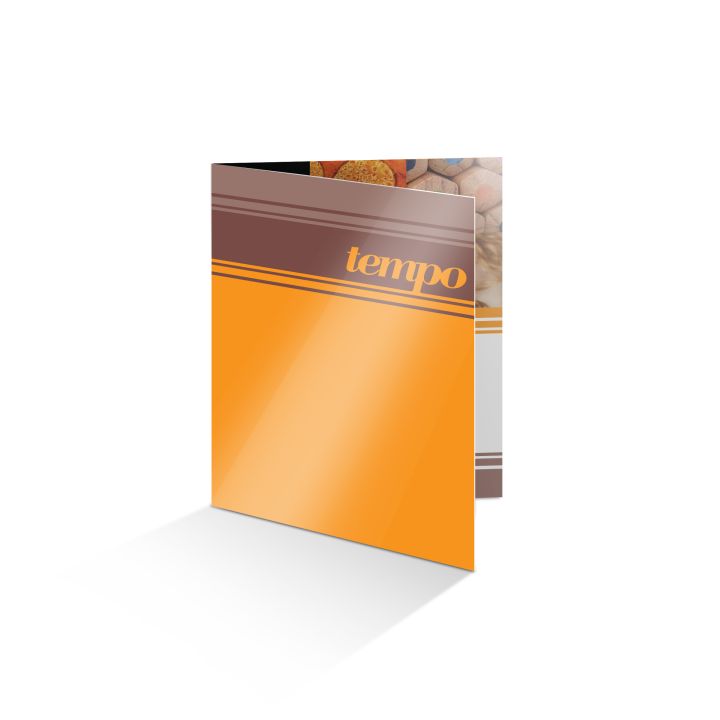 Matt Laminated Folders with spot UV