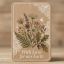 Invitations - Kraft Gmund 300gsm